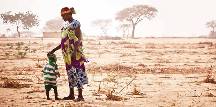 Plan d’action du Sénégal 2006-2020: Mise en place du CNSC